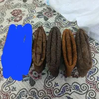 3عدد کلاه بره ای سرداری وبلوچی|لباس|زابل, |دیوار