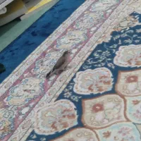 فنچ مولد خاص