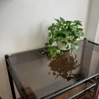 میز ناهار خوری ۶ نفره