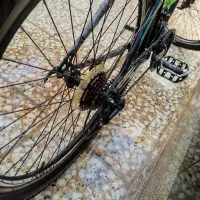 دوچرخه|دوچرخه، اسکیت، اسکوتر|رامشیر, |دیوار