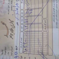 طلا نو نو