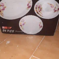 سروس چینی ارکوپال پلم
