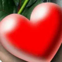 اجاره صندلی سالن زیبایی