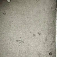 موکت پرز بلند پالاز|موکت|کرج, حیدرآباد|دیوار