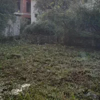 علف تراشی با دستگاه|خدمات باغبانی و درختکاری|نوشهر, |دیوار