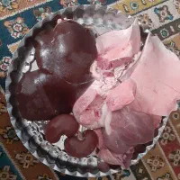 بره گوسفند کشتاری فقط ۸۷۰۰