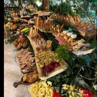 فینگر فود|خدمات پذیرایی، مراسم|مشهد, رضاشهر|دیوار