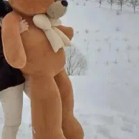 عروسک خرس