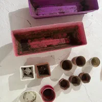 گلدان تعداد بالا زیر قبمت کاربردی