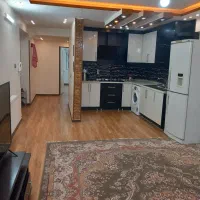 نیازمند هم خانه