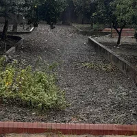 ۱۵۰۰ متر ویلا باغ ساحلی|فروش خانه و ویلا|رضوانشهر, |دیوار