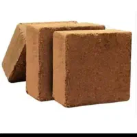 کوکوپیت سریلانکا فوری فروشی