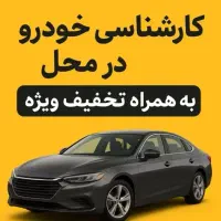 کارشناس تشخیص رنگ+فنی اعزام فوری درمحل(کل تهران)
