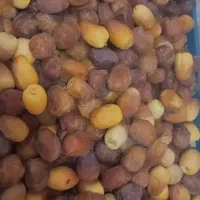 رطب و خارک برحی