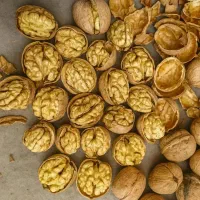 استخدام فروشنده خانوم یا اقا