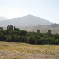 یاسوج