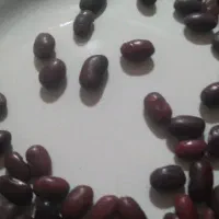 خوردنی اشامیدنی