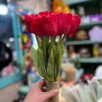 انواع باکس گل و شاخه گل|گل و گیاه طبیعی|رشت, معلم|دیوار