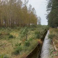 تنکابن10هکتارزمین150مترویلا ۳تاسرایداری سند۶شدانگ|فروش زمین و ملک کلنگی|نشتارود, |دیوار