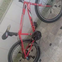 دوچرخه 24