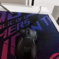 موس اونیکوما cw917|قطعات و لوازم جانبی رایانه|شیراز, فرگاز|دیوار