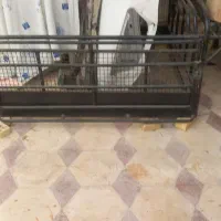 باربند