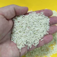 برنج محلی علی کاظمی درجه ۱ شهرستان دورود|خوردنی و آشامیدنی|تهران, آبشار تهران (دریاچه)|دیوار