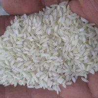 برنج عنبربو امسال بو و طعم فوق العادست