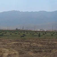 پرس یونجه مرغوب۳۵۰ عدد