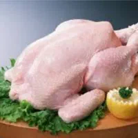 فروش مرغ و گوشت قرمز با قیمت مناسب (کشتار روز )