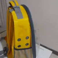 گربه خانگی|گربه|پردیس, فاز ۱۱|دیوار