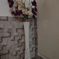 گل شقایق