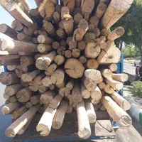 فروش و خرید چوب سقفی و انواع چوب درخت