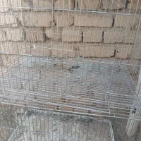 قفس پرنده