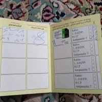 سگ پامر|سگ|بردسیر, |دیوار