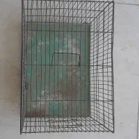 قفس پرنده