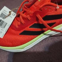 کفش|کیف، کفش، کمربند|ایلام, |دیوار