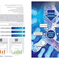خوراک دام گاو گوسفند