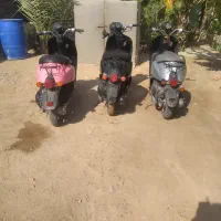 سال