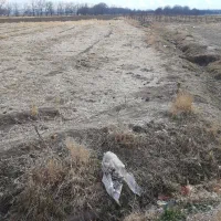 زمین اشترینان جهت ویلا باغ