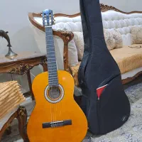 گیتار نو