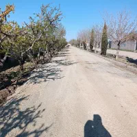 پیمانکاری آسفالت تراشه ایزوگام و قیرگونی|خدمات پیشه و مهارت|هشتگرد, تهران دشت|دیوار