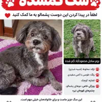 به یابنده مژدگانی. داده می شود