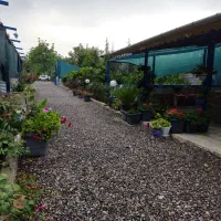 کار در پرورش ماهی سردابی|استخدام سرایداری و نظافت|لنگرود, |دیوار