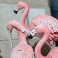 مجسمه فلامینگو بتنی مخصوص باغ ویلا پارک|مجسمه، تندیس، ماکت|کرمان, |دیوار