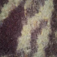 برگه سبز گم شده بنام مرتضی کمالی