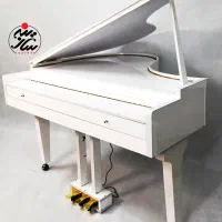 پیانو دیجیتال طرح رویال مدل p225 یاماها