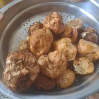 دنبل قرمز کوهی شسته شده درشت