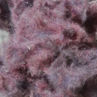 کرک (پشم) مناسب لحاف و تشک بالشت درجه یک کاشان