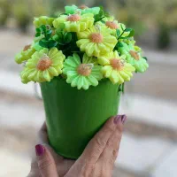 باکس گل